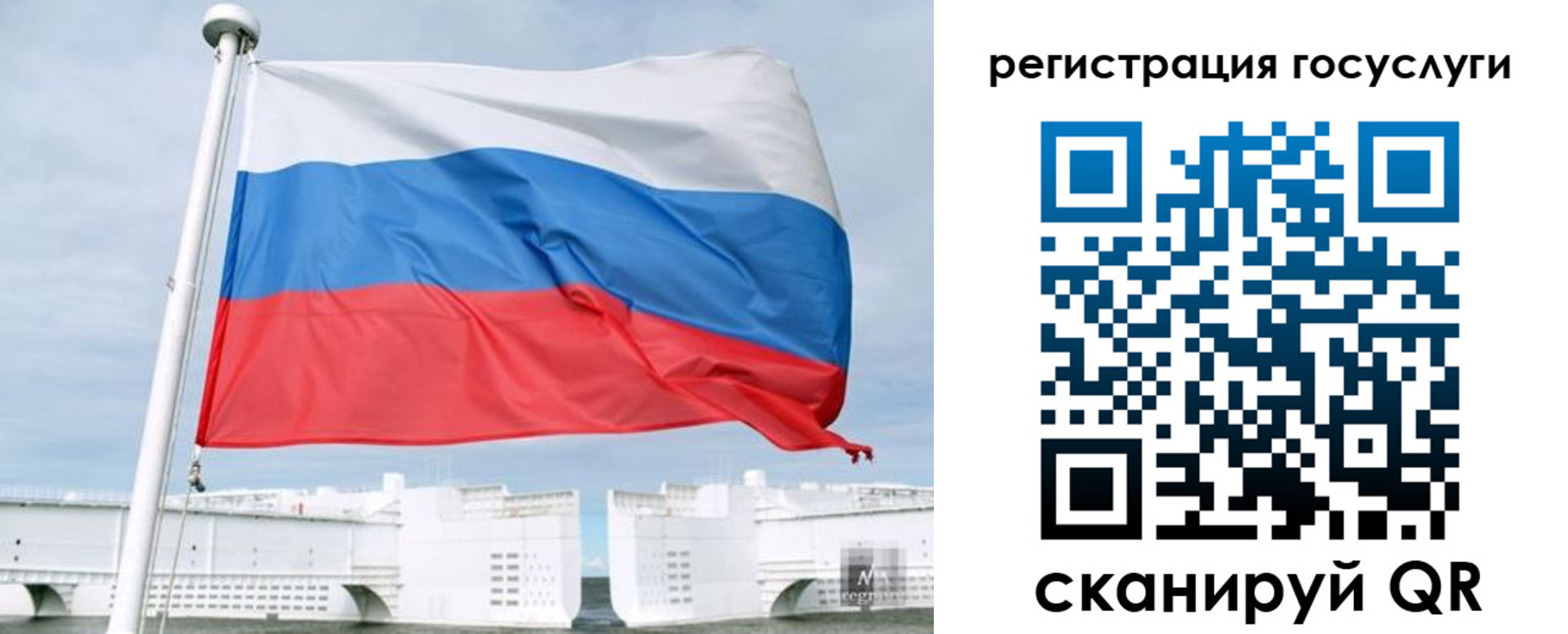 временная регистрация поиск в Полярных Зорях